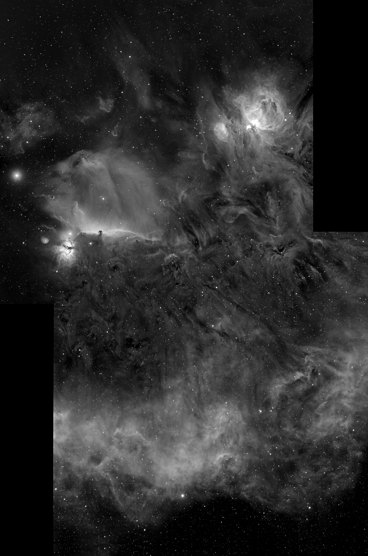 Nebulosity of Central Orion Telescope Live